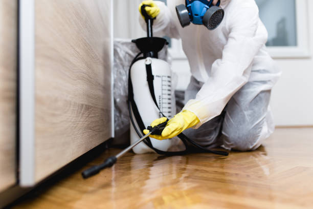 Best Wildlife Control Services  in Woodsfield, OH