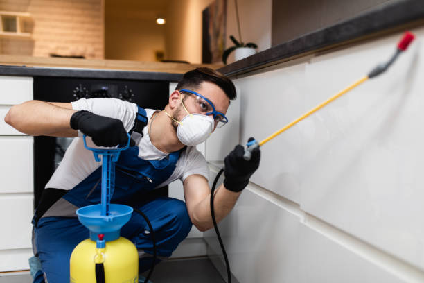 Best Bed Bug Extermination  in Woodsfield, OH