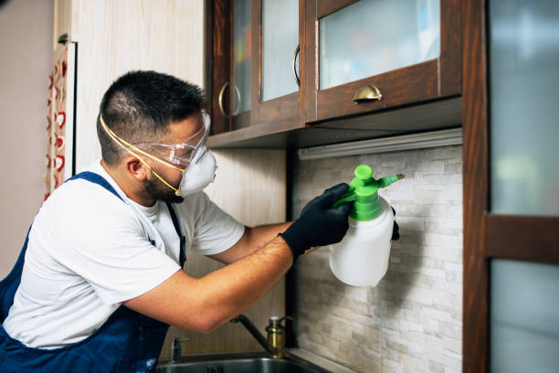 Best Exterminator Services  in Woodsfield, OH