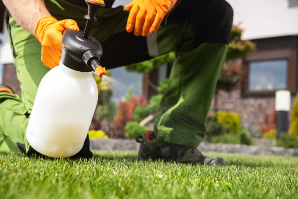 Best Insect Control  in Woodsfield, OH