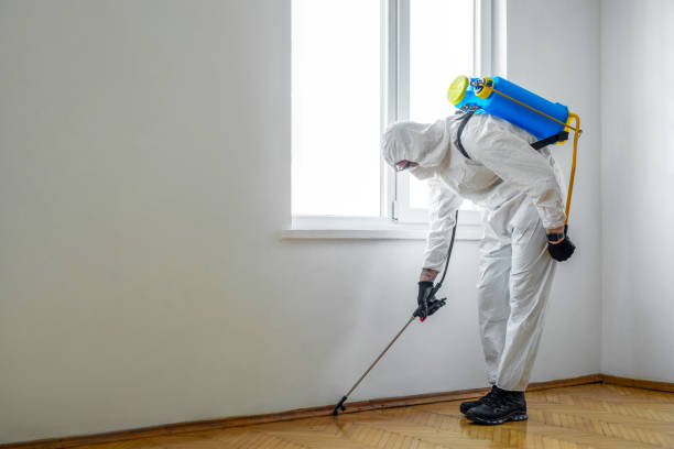 Wasp Removal Services in Woodsfield, OH