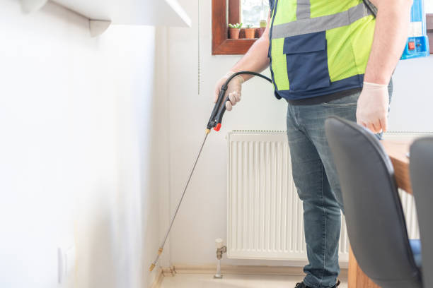Best Flea Control Services  in Woodsfield, OH