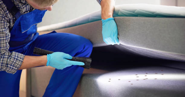 Best Pest Inspection Near Me  in Woodsfield, OH