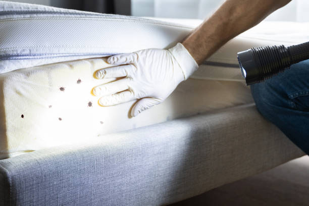 Best Cockroach Control Services  in Woodsfield, OH