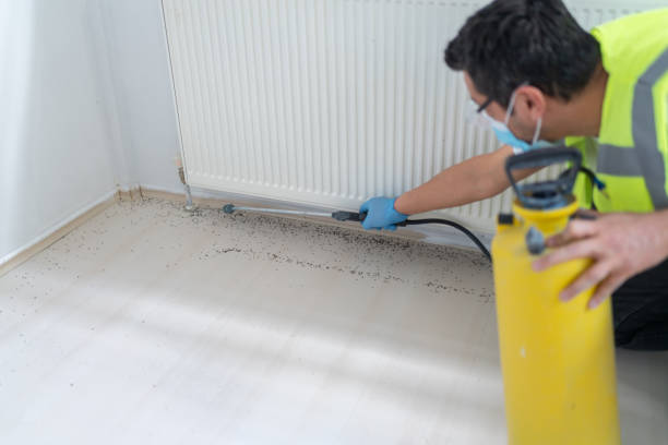 Best Affordable Pest Control Services  in Woodsfield, OH