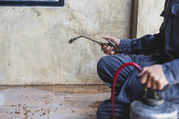 Best Pest Removal Services  in Woodsfield, OH